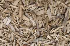 biomass boilers Eldene